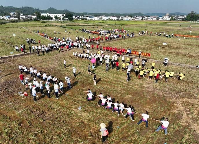 丰收季节乡村运动会，体会乡土文化的独特魅力的简单介绍