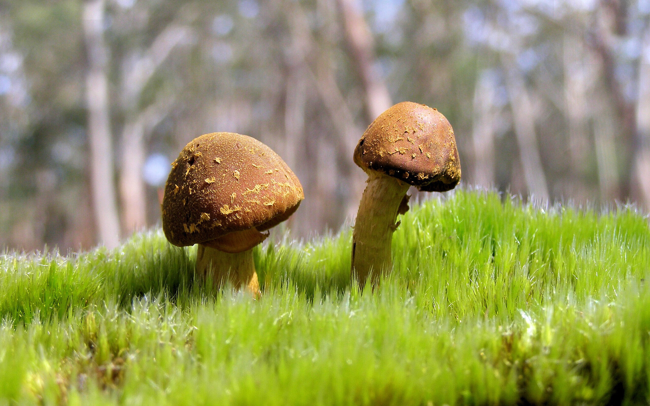 开云投注-陈艺文赛后致谢团队支持，陈艺文赛后致谢团队支持的句子