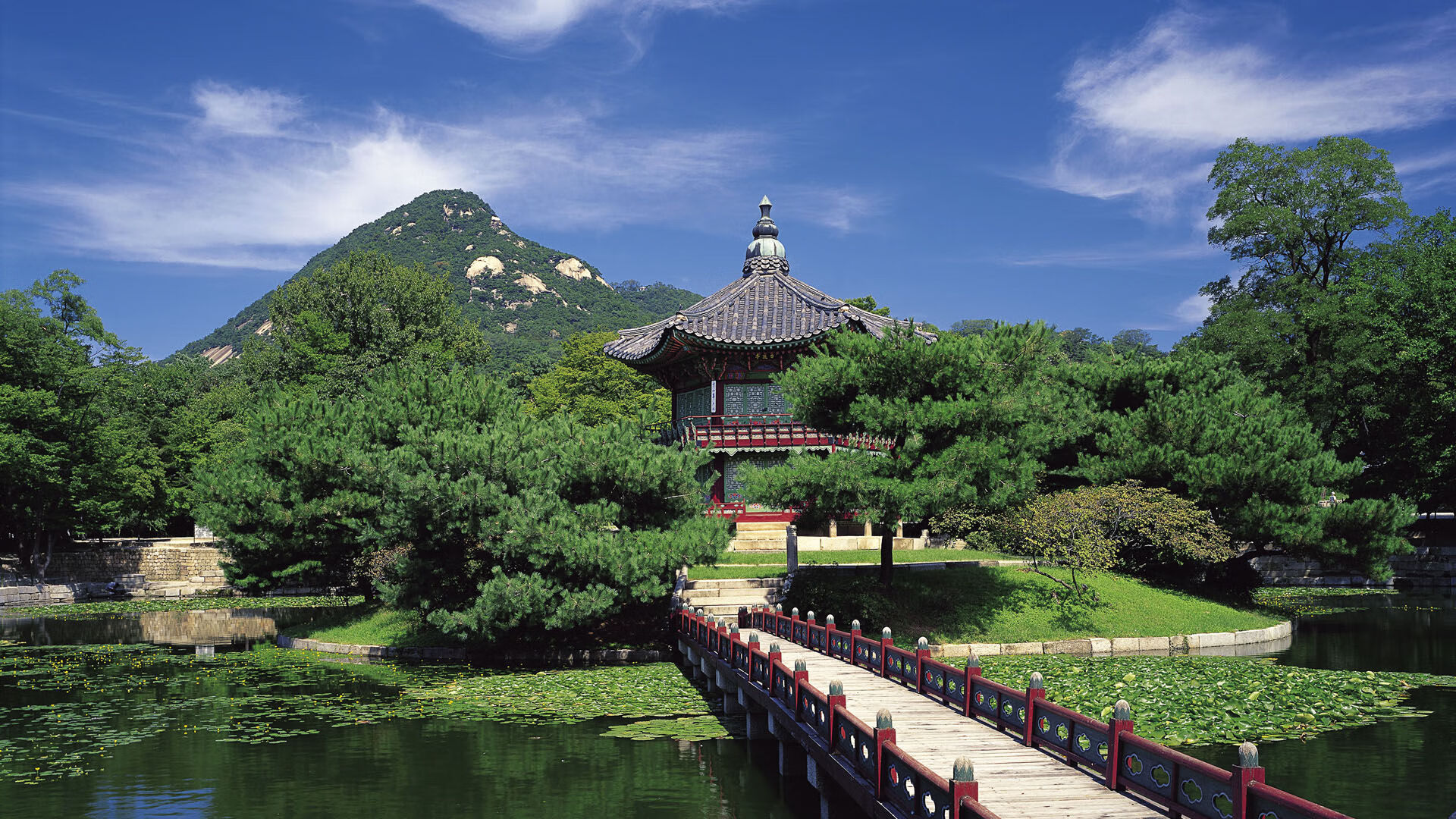 麦金托什刷新个人800米自由泳最佳成绩，加拿大游泳运动员麦金托什